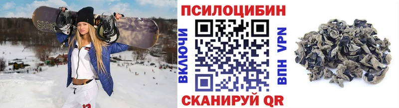 Галлюциногенные грибы GOLDEN TEACHER Балахна