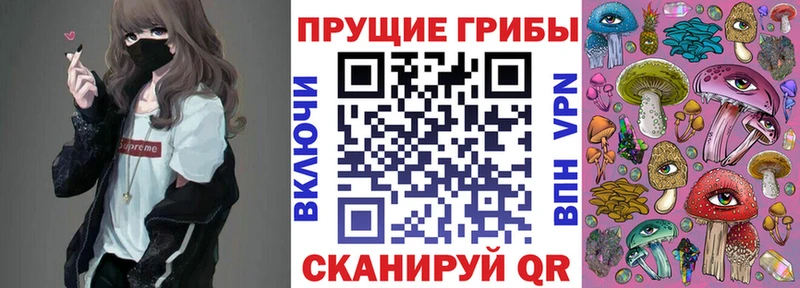 Купить закладки  Балахна  Псилоцибиновые грибы Psilocybe 