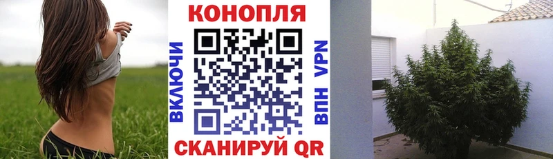 Конопля VHQ  Купить  Балахна 